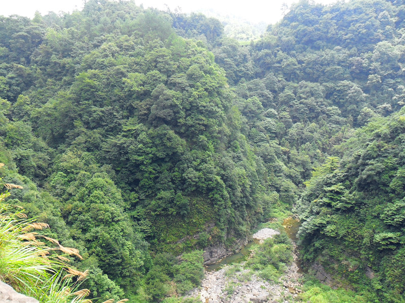 榜头泉山洋尾人口_情头头像图片动漫(3)