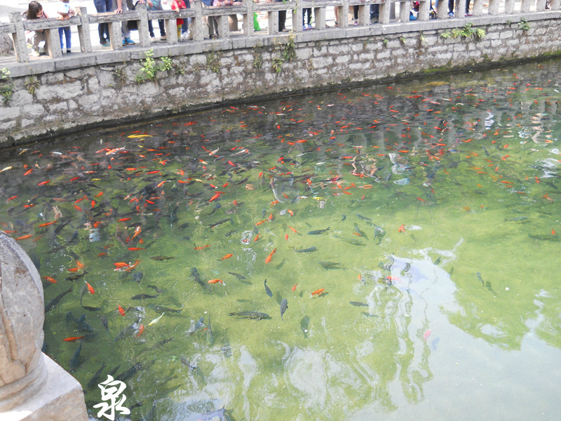 济南gdp为什么不挤水_济南gdp破万亿图片(3)