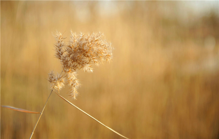 wKgB3FFtHhiAJaBLAAKAP_GLE1o27.jpeg?imageView2%2F2%2Fw%2F600%2Fh%2F600%2Fq%2F90