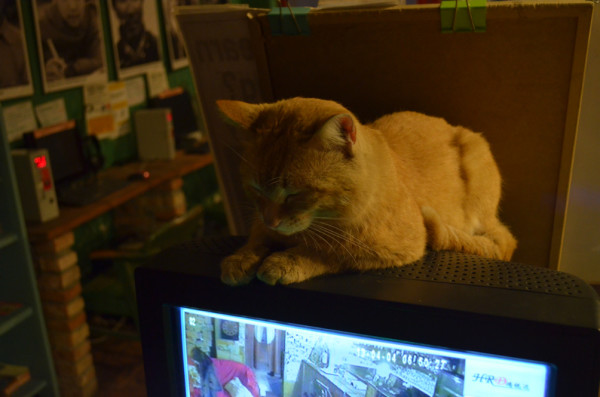 喵姐在成都 wKgB3FFryeeAJOwfAArIHeaIxYQ07.jpeg?imageView2%2F2%2Fw%2F600%2Fh%2F600%2Fq%2F90