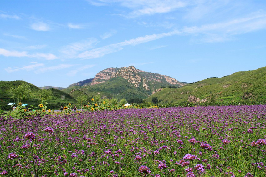 wKgB21AiDRHtIXdKAAlFZRhNlN838.jpeg?imageView2%2F2%2Fw%2F600%2Fh%2F600%2Fq%2F90