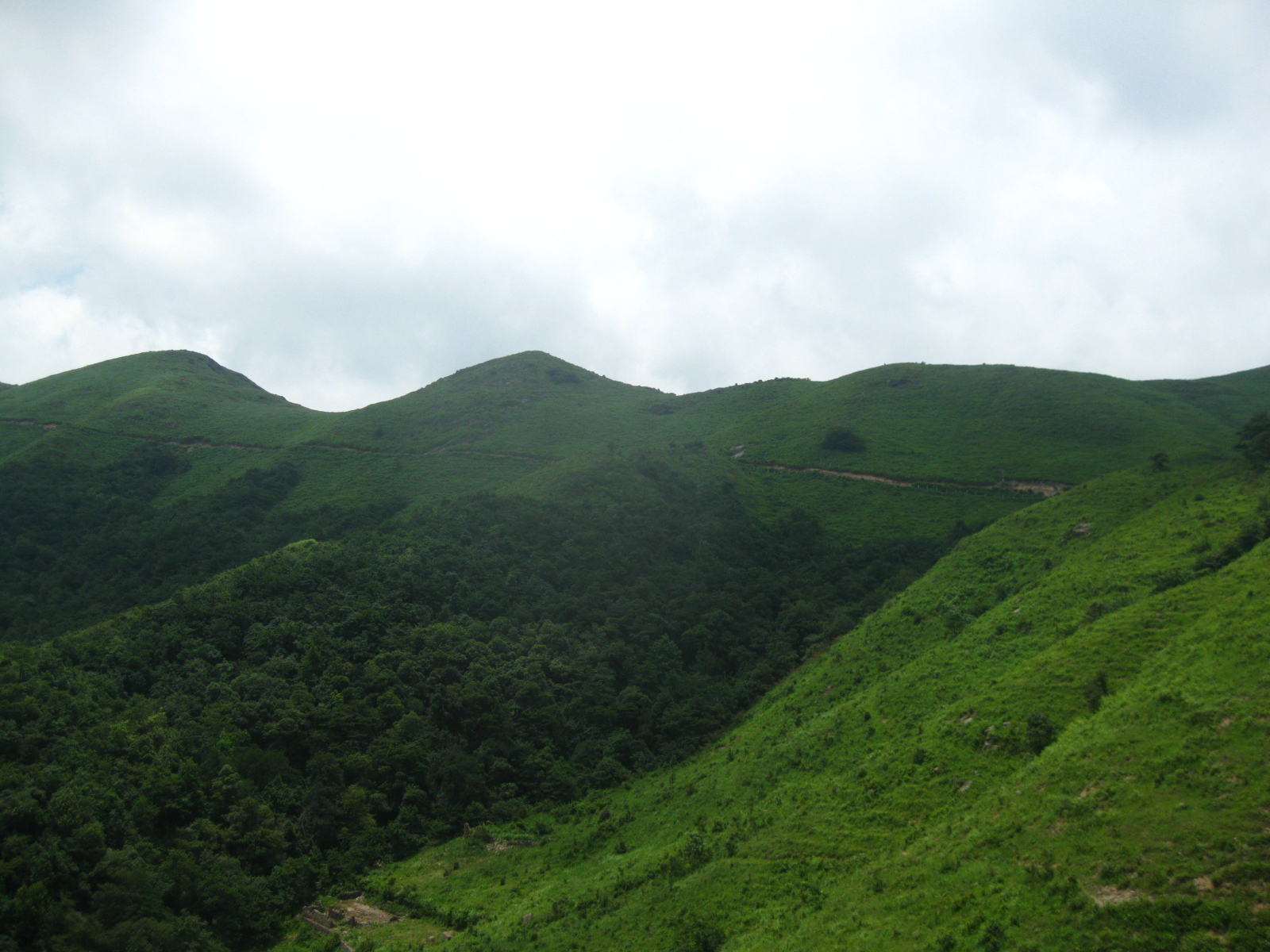 于都屏山牧场