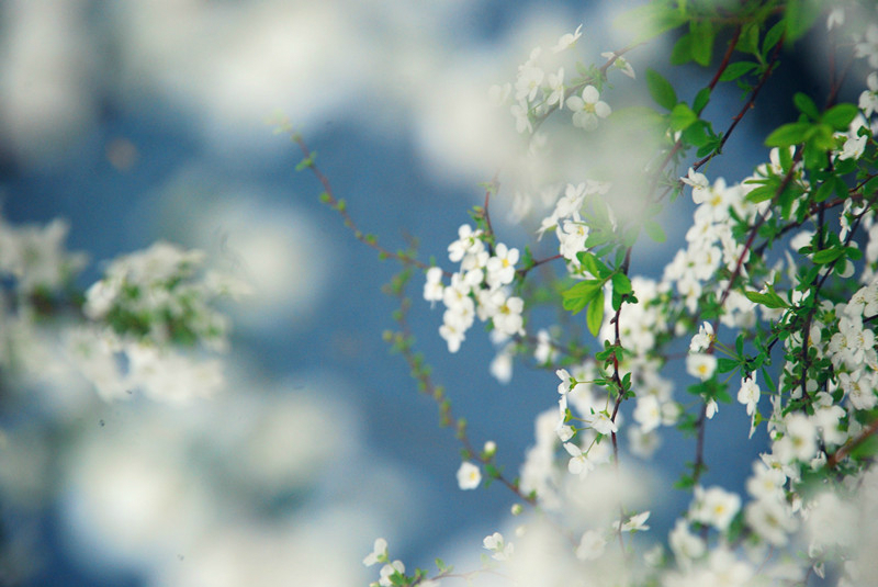 wKgB3FFP5neAcsvfAAUpEmOPt_Y57.jpeg?imageView2%2F2%2Fw%2F600%2Fh%2F600%2Fq%2F90