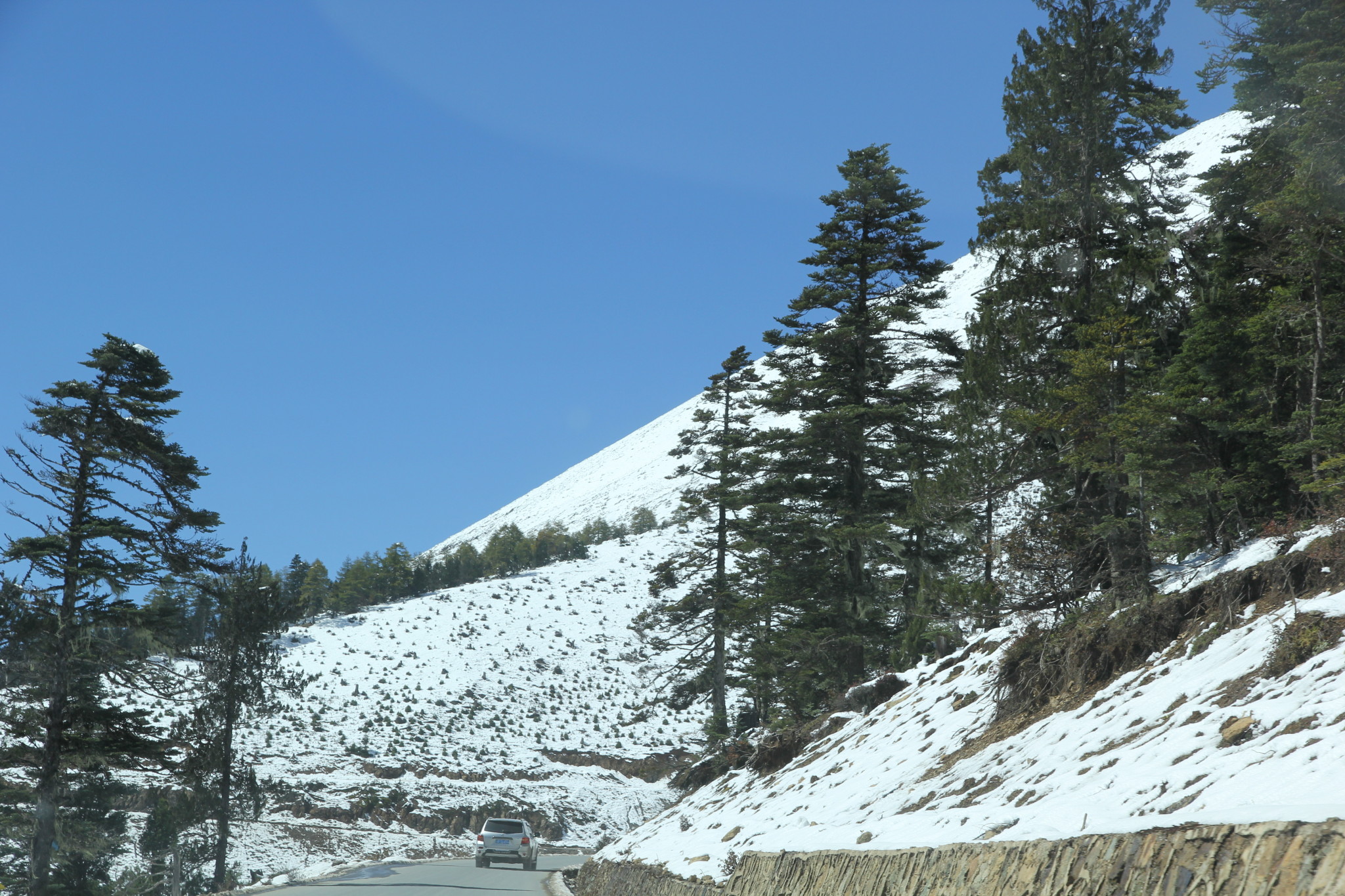 梅里雪山婚纱照_梅里雪山日照金山图片(3)