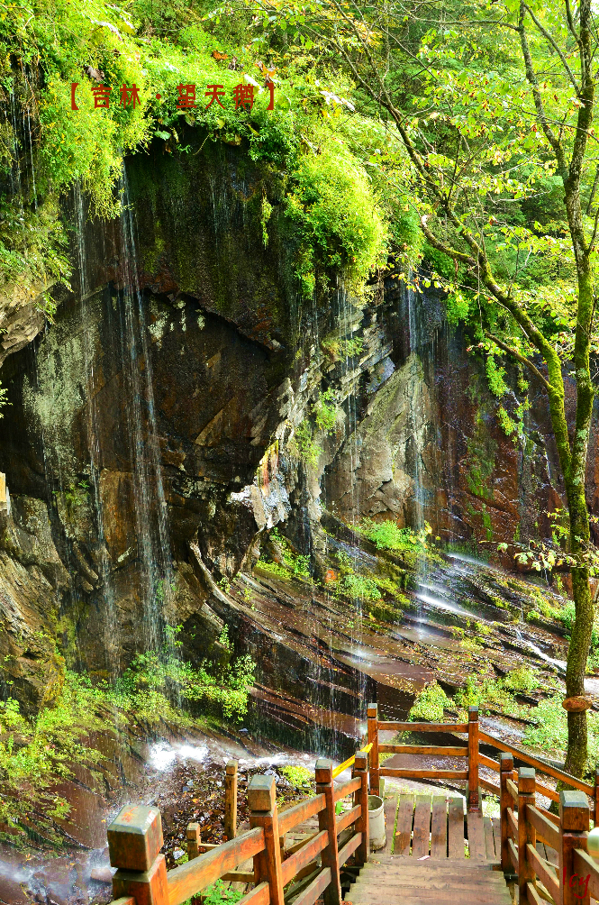 十五道沟望天鹅自然风景区    