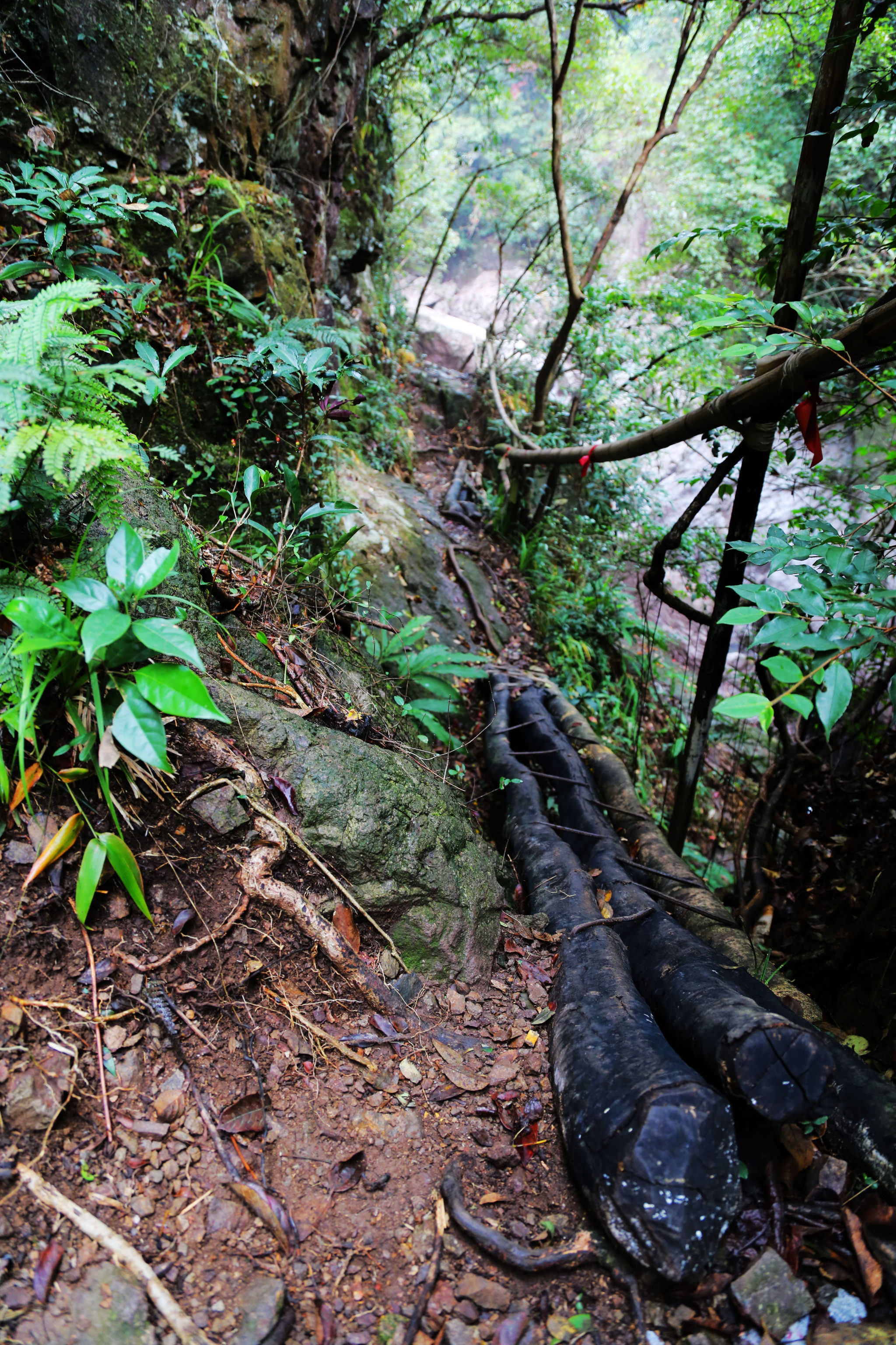 wKgB4lJ4HCOAf6IvACQZyRKSbhU52.jpeg?imageView2%2F2%2Fw%2F600%2Fh%2F600%2Fq%2F90