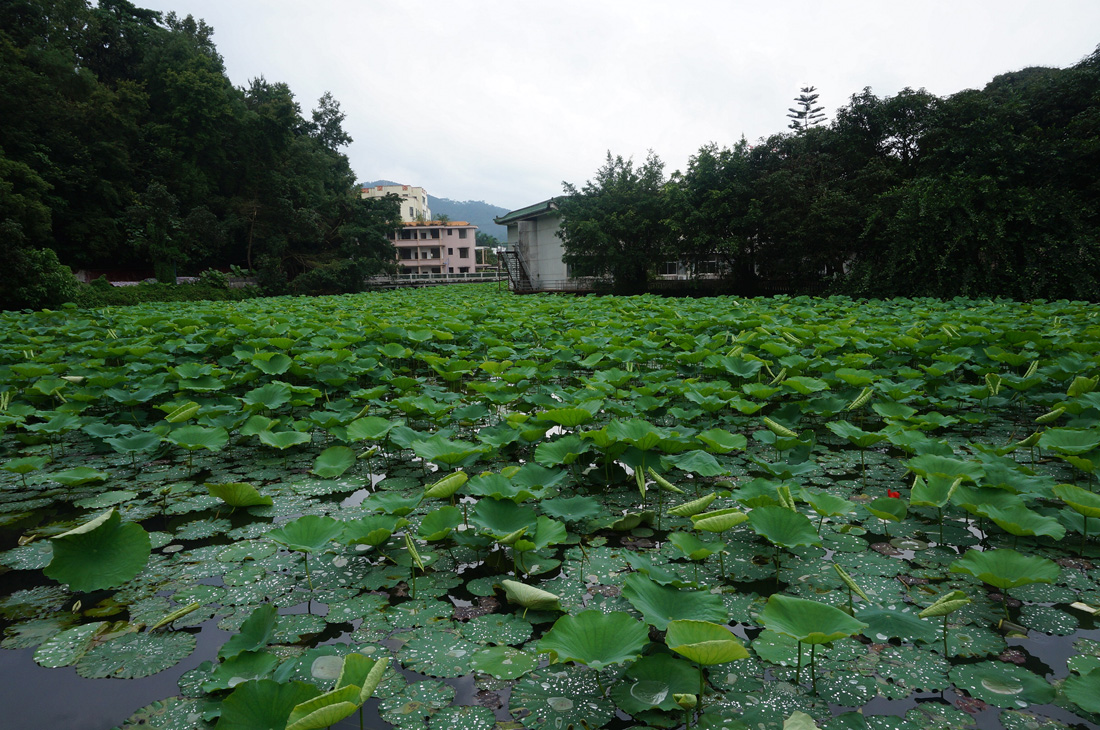 中山市区县人口排名_中山市区地图(2)