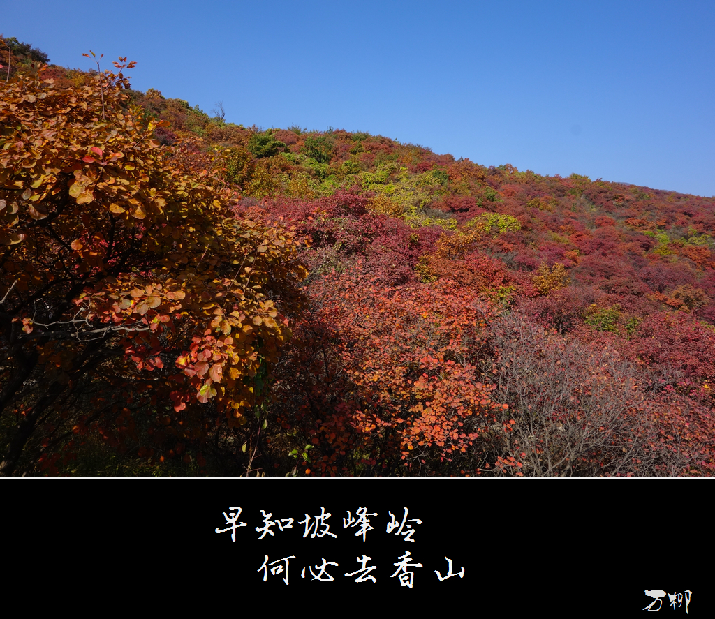 wKgB4lJsuCOAC6dkABOUtu4SLk039.jpeg?imageView2%2F2%2Fw%2F600%2Fq%2F90%7CimageMogr2%2Fstrip%2Fquality%2F90