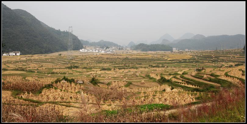 荔波县城镇人口_荔波县地图(2)