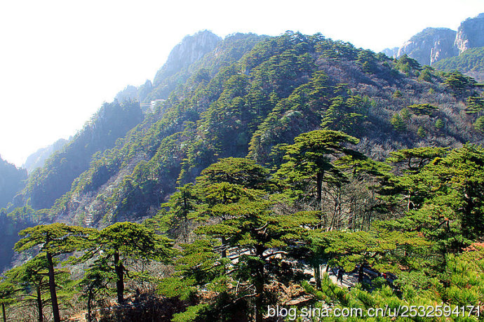 黄山有多少人口_黄山系列香烟有多少种(2)