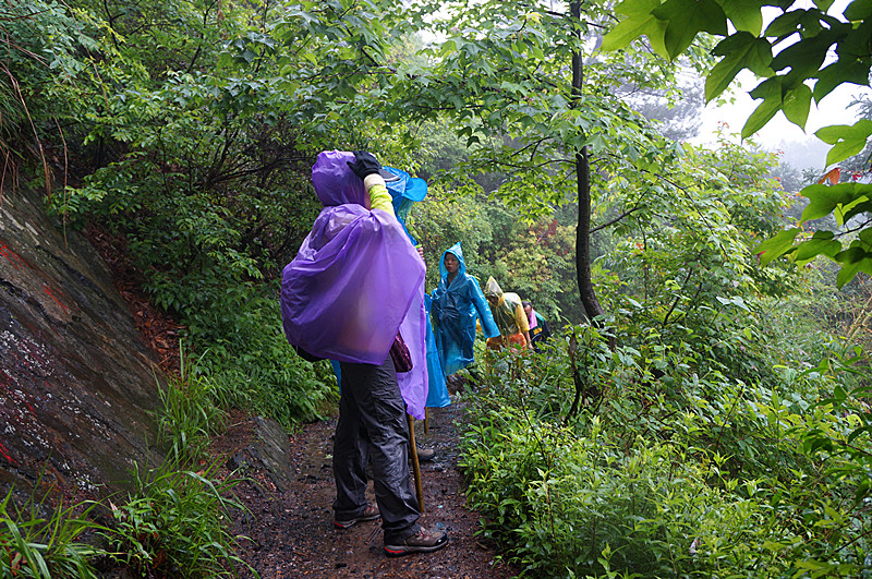 wKgB4lN6AYOANvW8AAY2U1Lydxw31.jpeg?imageView2%2F2%2Fw%2F600%2Fh%2F600%2Fq%2F90