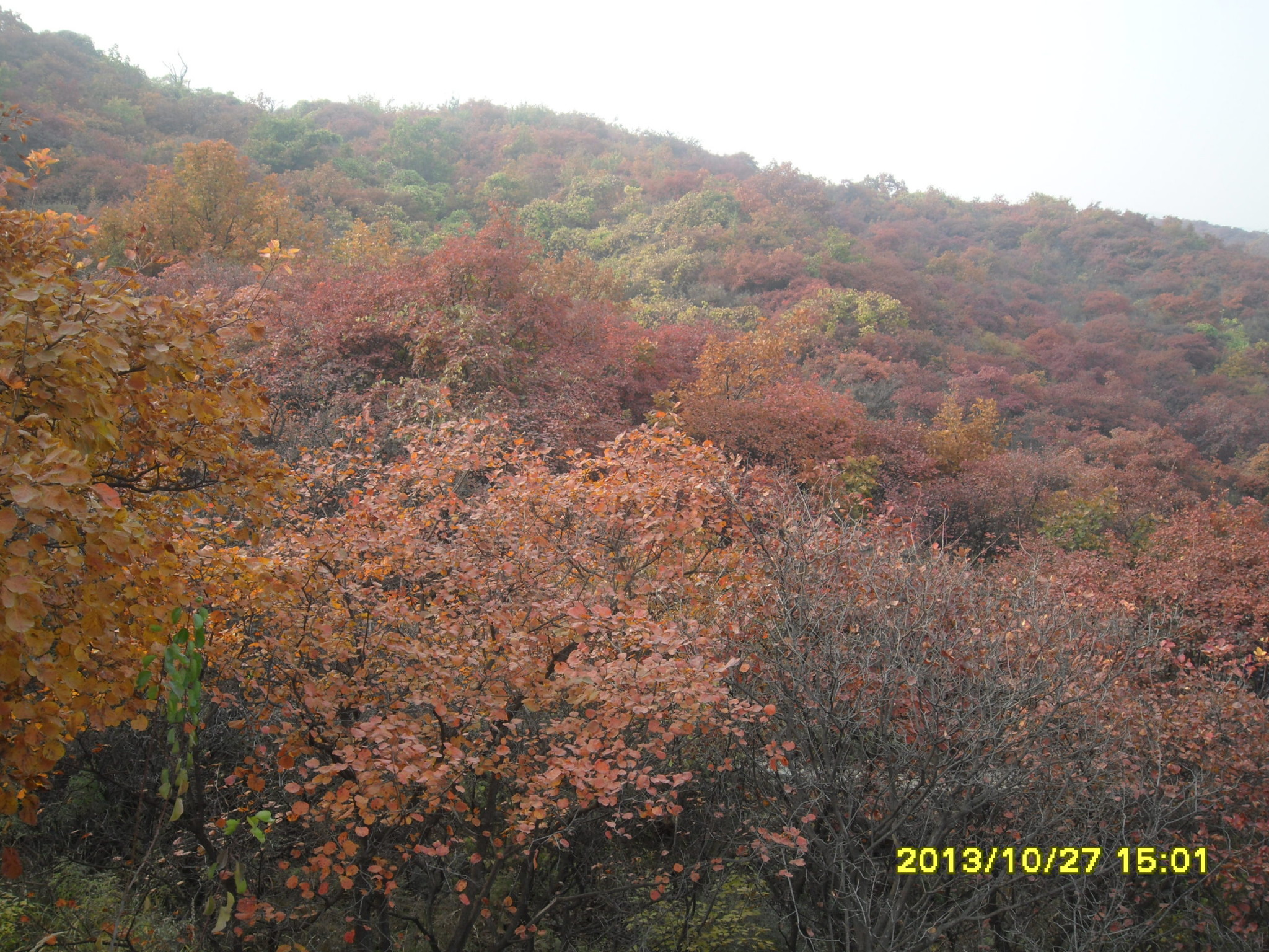 wKgB4lJtFrOARLw2AA87LGAEaMA21.jpeg?imageView2%2F2%2Fw%2F600%2Fq%2F90%7CimageMogr2%2Fstrip%2Fquality%2F90