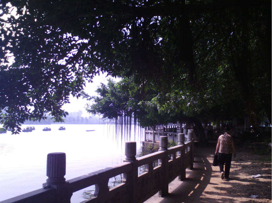雷州有多少人口_雷州有什么好吃图片
