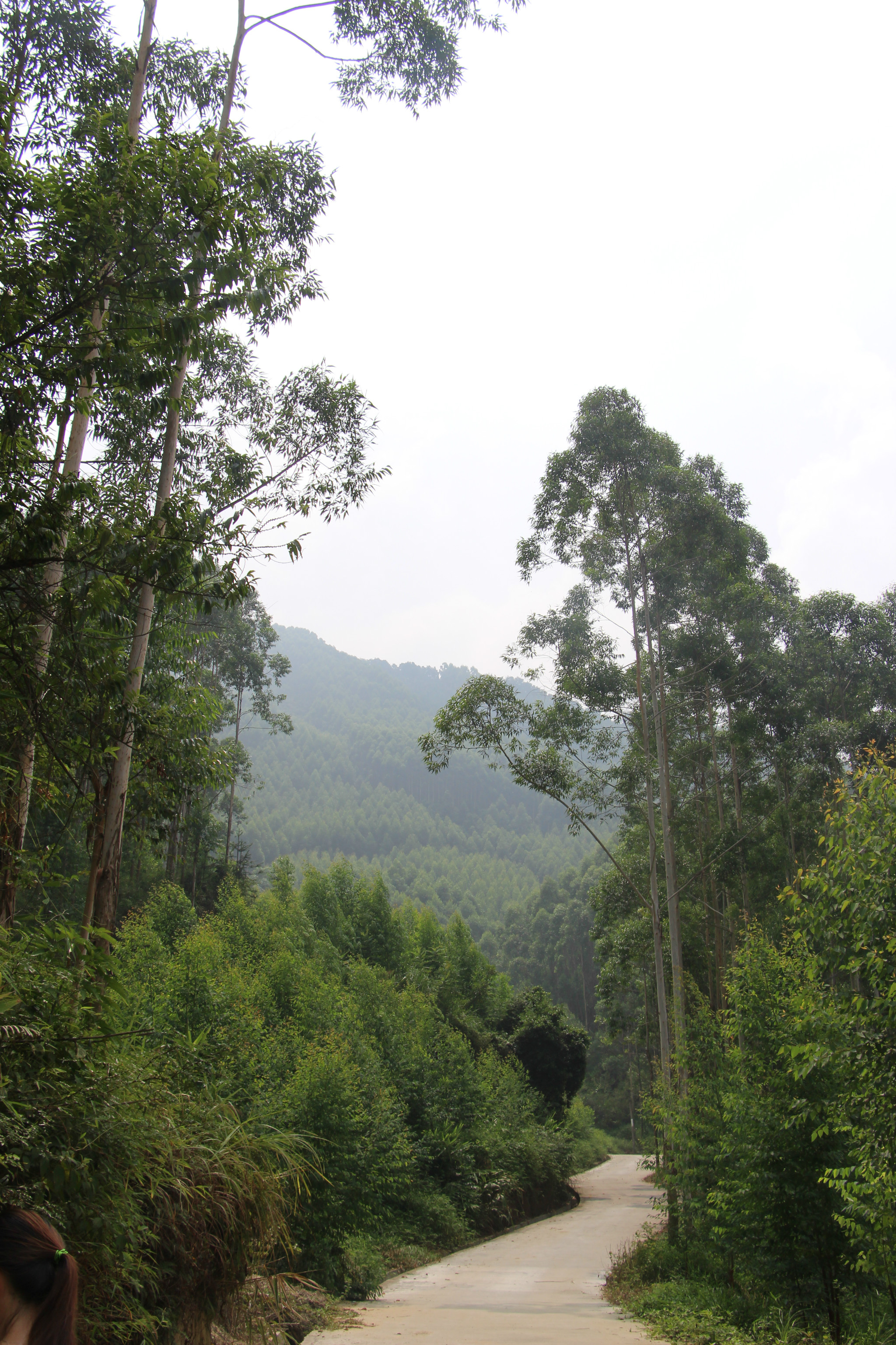 佛山第一峰高明皂幕山