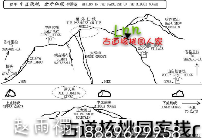 核桃园gdp_文玩核桃