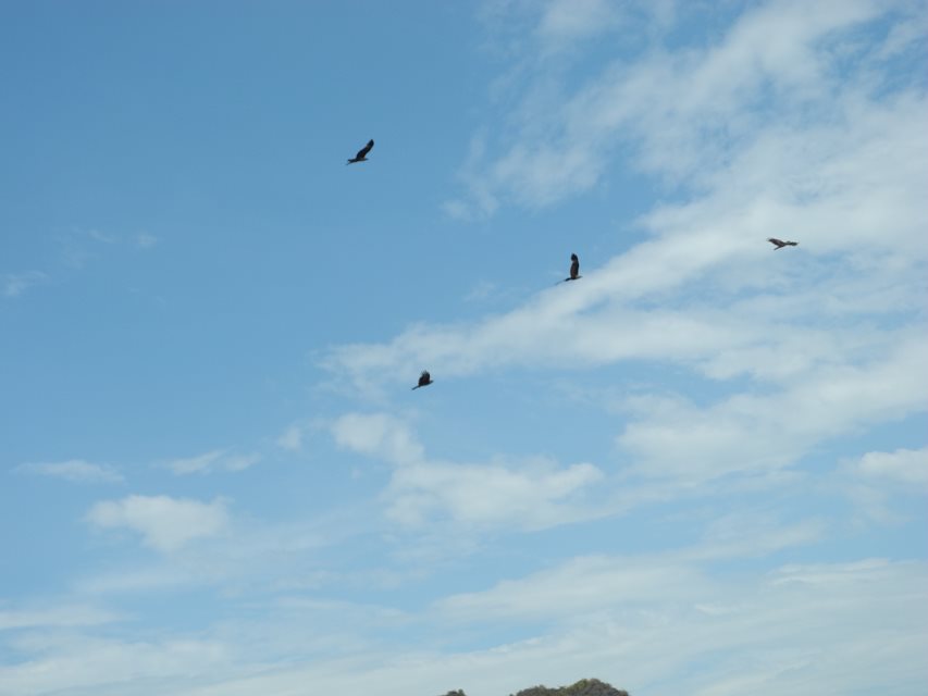 成语什么击长空_舞长空(2)