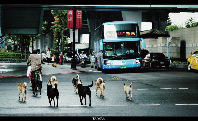 wKgB6lO6K0mAQ4NDAAG0jjMDhhA51.jpeg?imageView2%2F2%2Fw%2F600%2Fh%2F600%2Fq%2F90