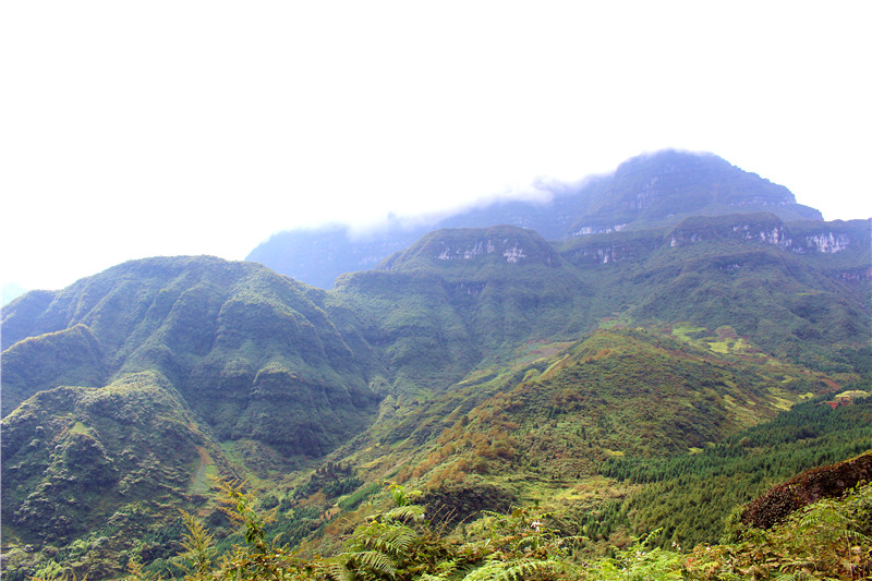 大瓦山攻略,大瓦山门票_地址,大瓦山景点攻略 - 马蜂窝