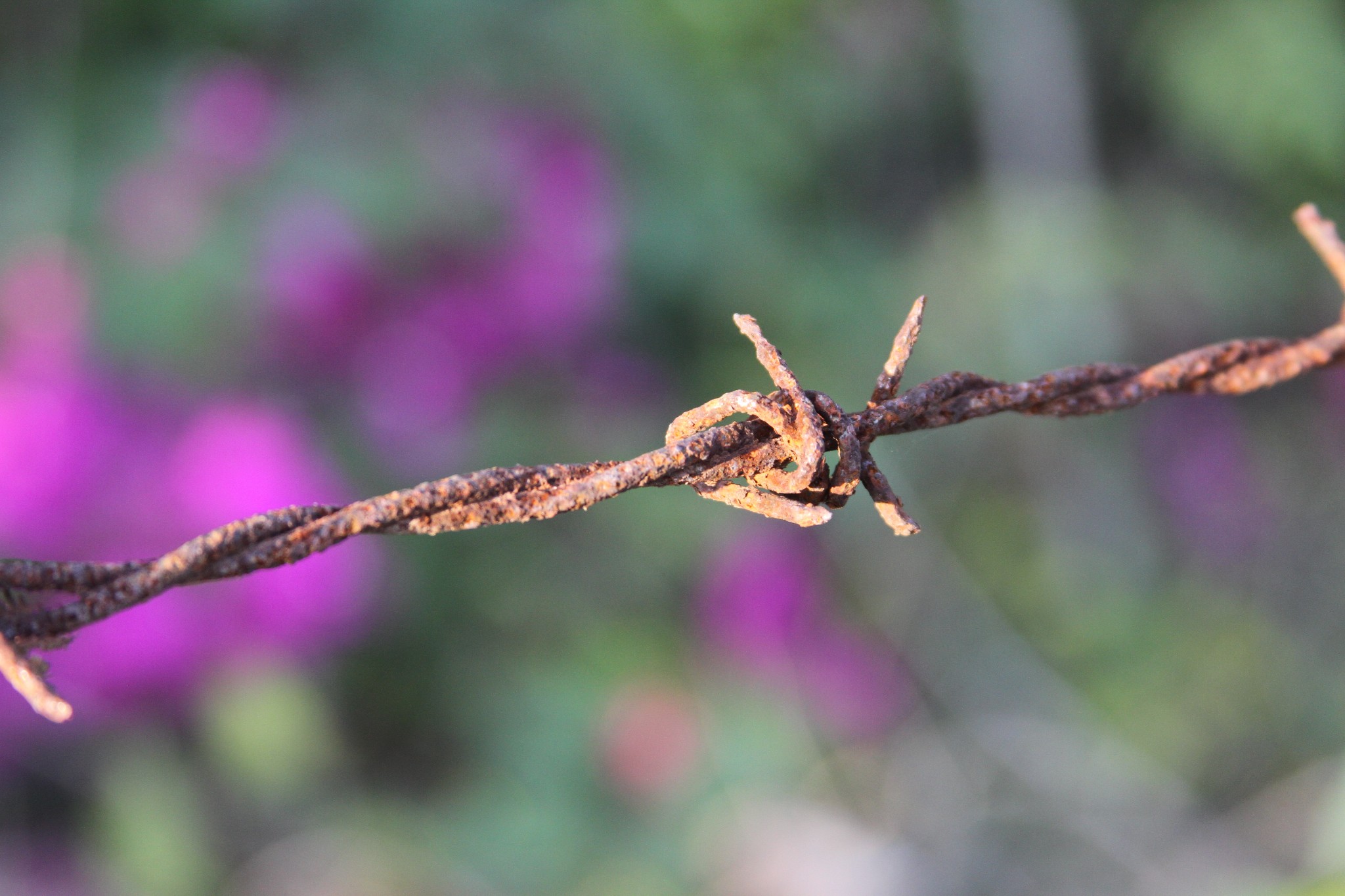 wKgB6lUE-16AQ29kAAbdhcOmV-Q82.jpeg?imageView2%2F2%2Fw%2F600%2Fh%2F600%2Fq%2F90