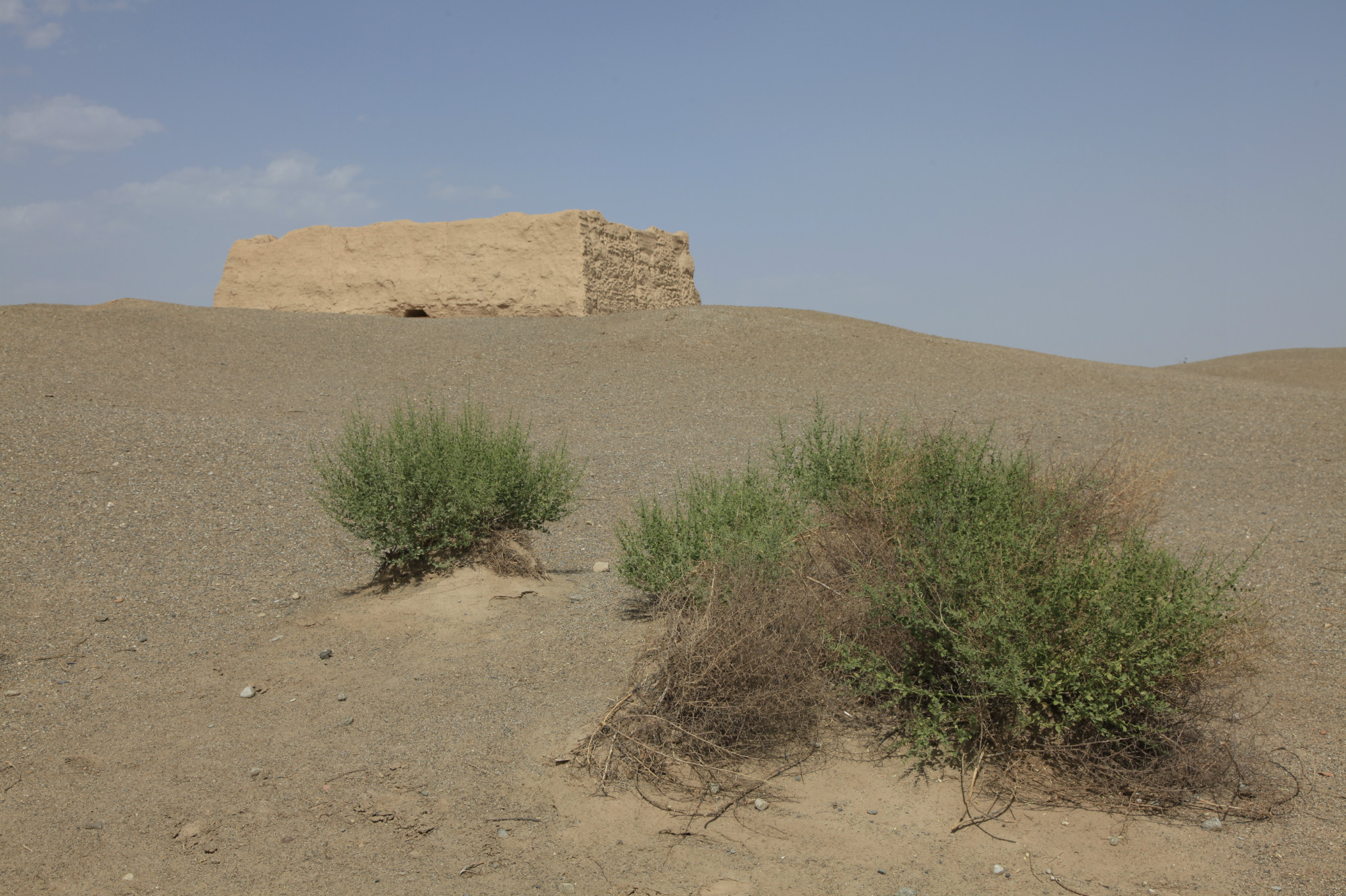 敦煌租车两日游--致让我难忘的好人王师傅