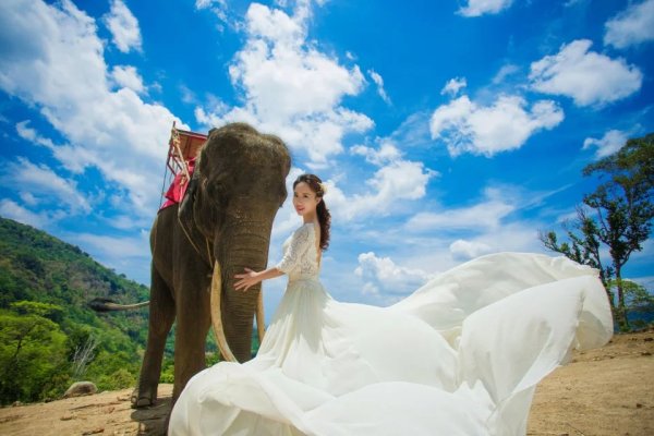 去泰国拍婚纱照_去泰国机票的照片(3)