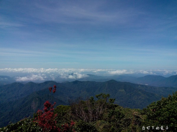 什么是五指山 wKgBpVWIJ2GAM-cdAAxZfvYG-7M96.jpeg?imageView2%2F2%2Fw%2F600%2Fh%2F600%2Fq%2F90