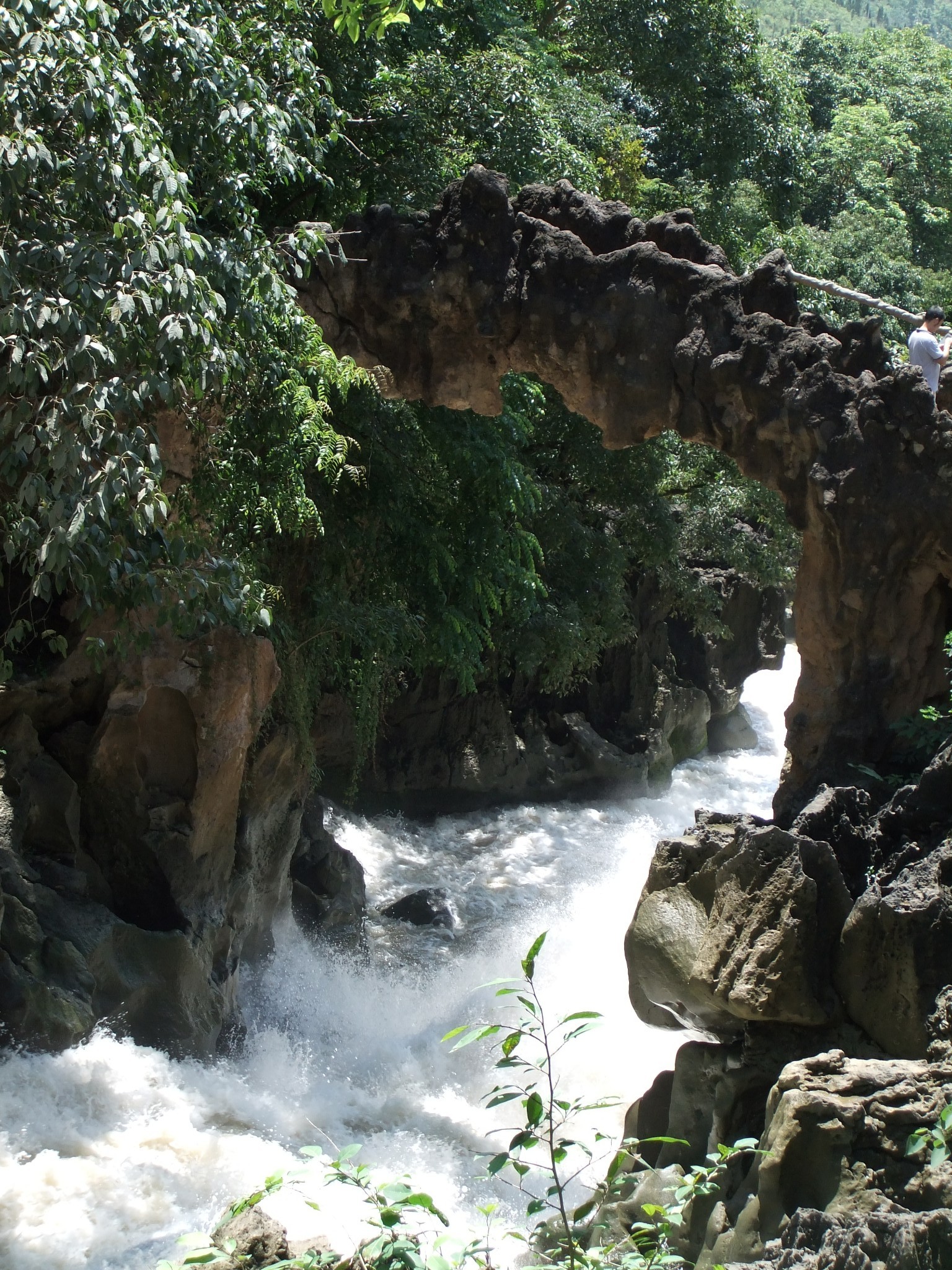 花溪区有多少人口_家门口坐高铁 乐山人3 5 7小时能去哪里旅行