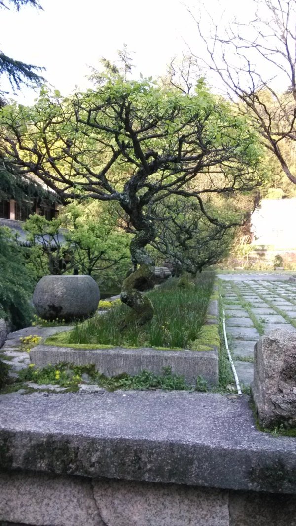 本人三次游黄山的经验总结(纯攻略),黄山自助游攻略