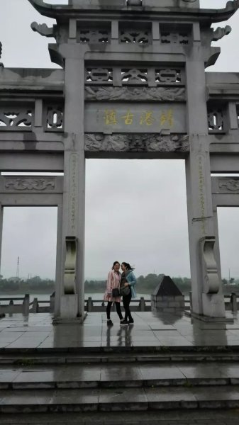 什么嘶风成语_什么风拂面四字成语