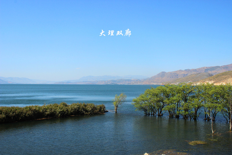 丽江旅游人均_丽江旅游景点图片(2)