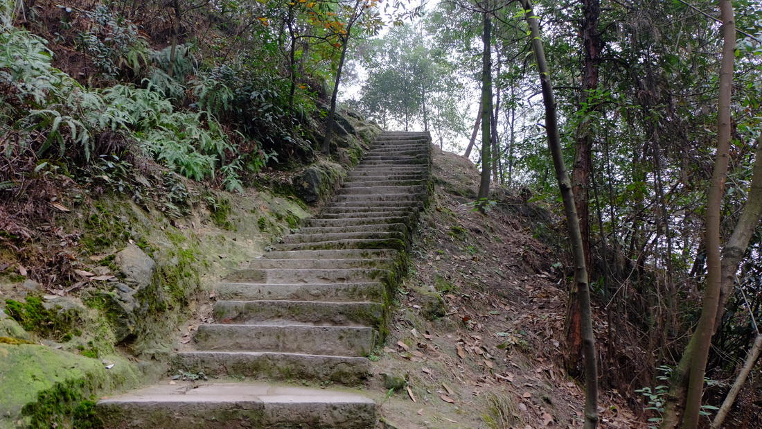 重庆尖刀山森林公园