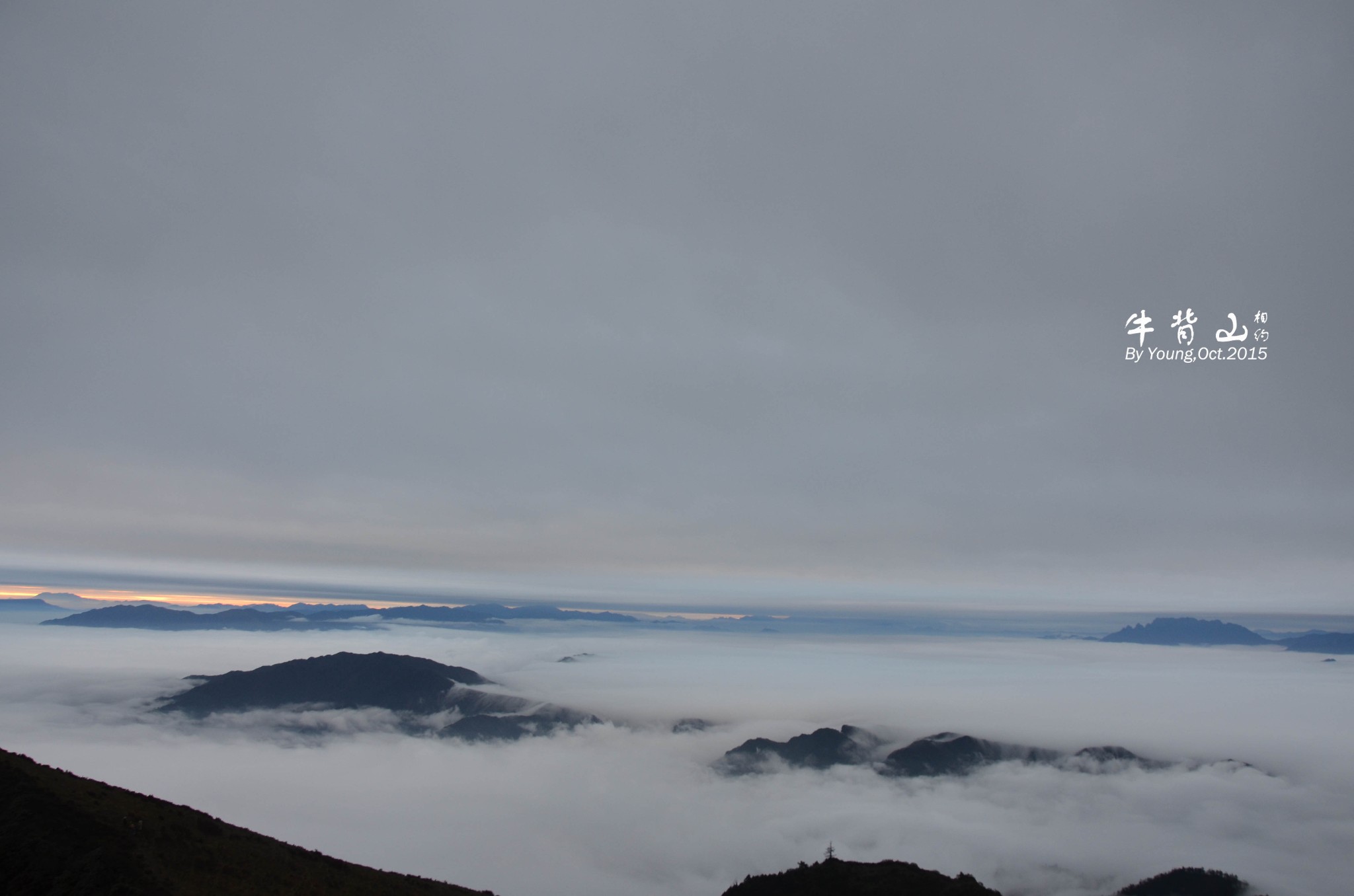 wKgBs1clgciAclCRAAMx51owVBs58.jpeg?imageView2%2F2%2Fw%2F600%2Fh%2F600%2Fq%2F90