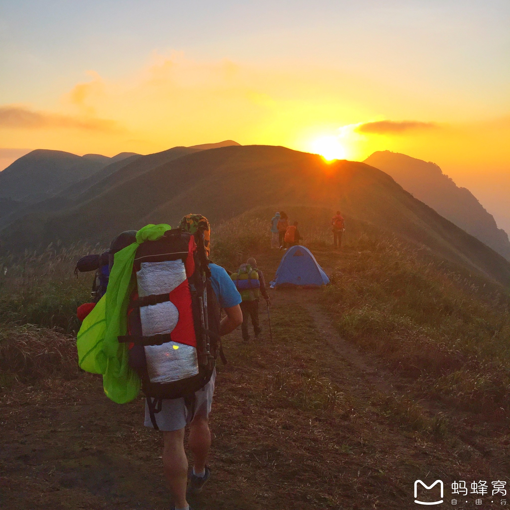 徒步武功山,徜徉高山草甸,仰望银河划空