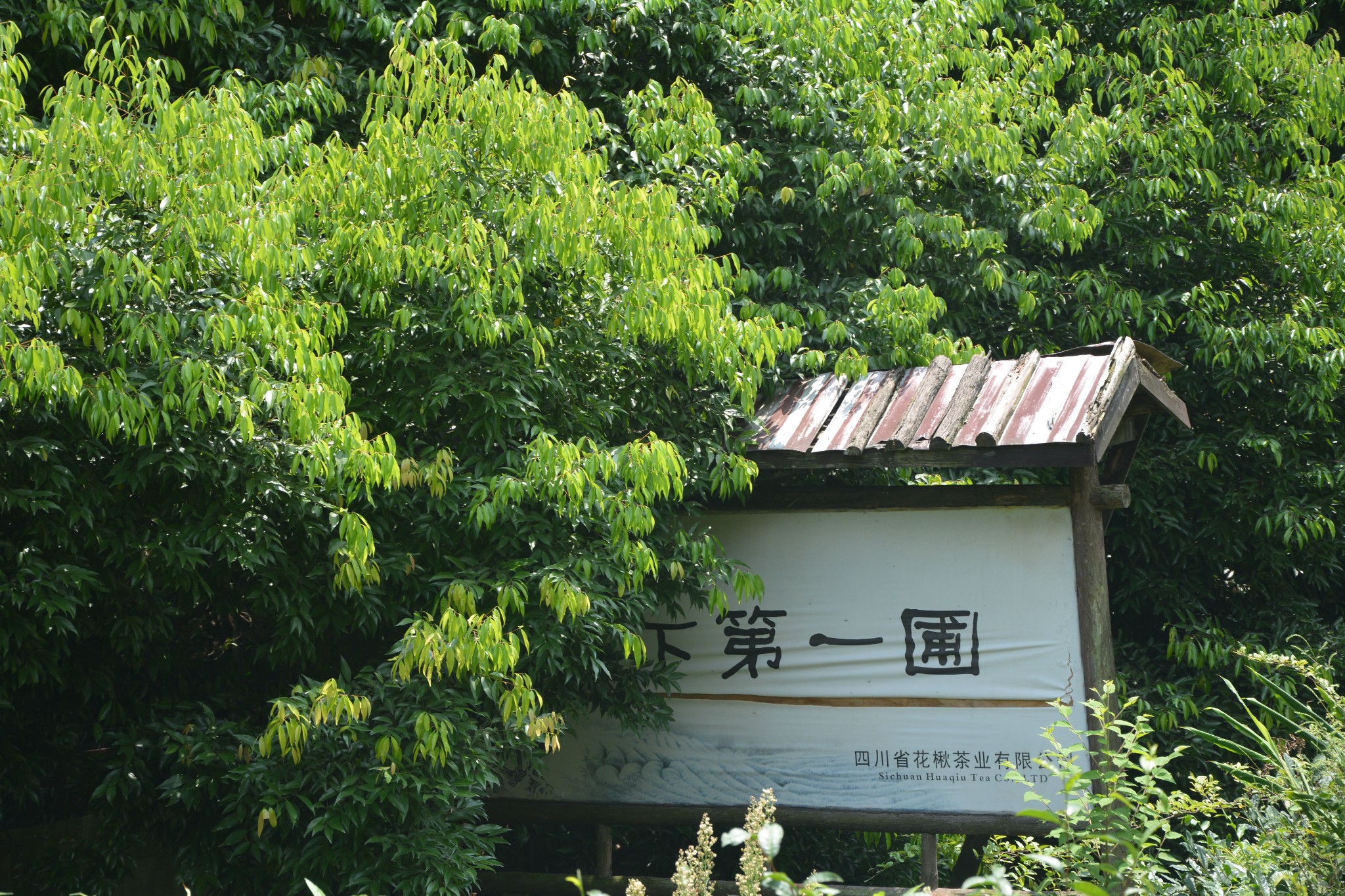 邛崃居住人口_邛崃天台山图片(2)