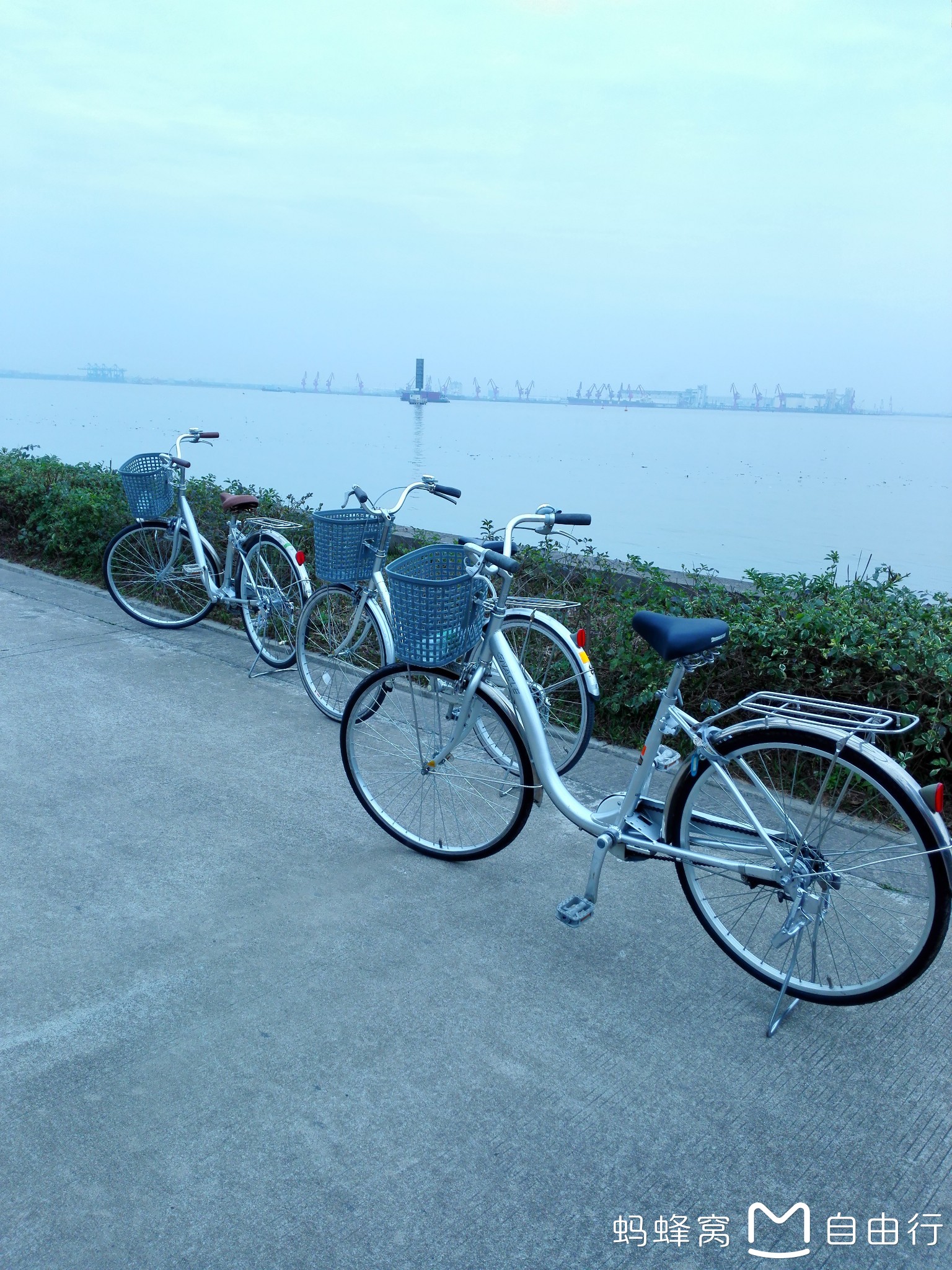 番禺海鸥岛,番禺自助游攻略 - 马蜂窝