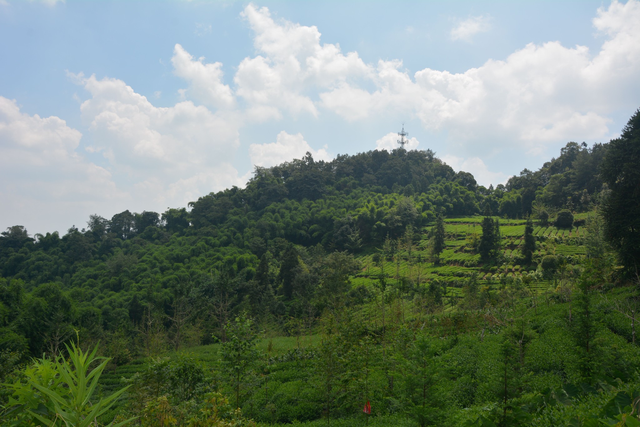 邛崃居住人口_邛崃天台山图片(2)