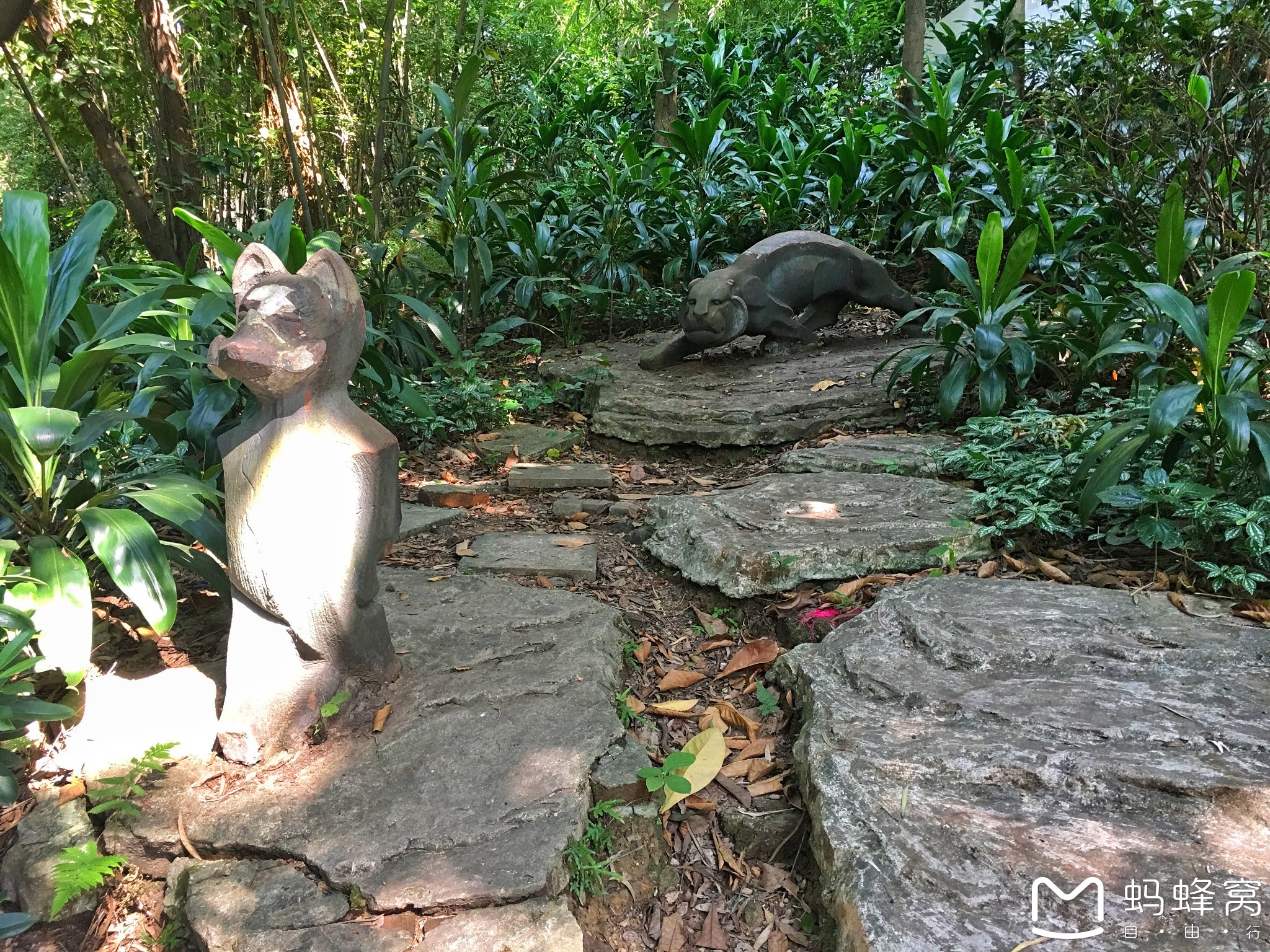 碍猜成语_看图猜成语(2)