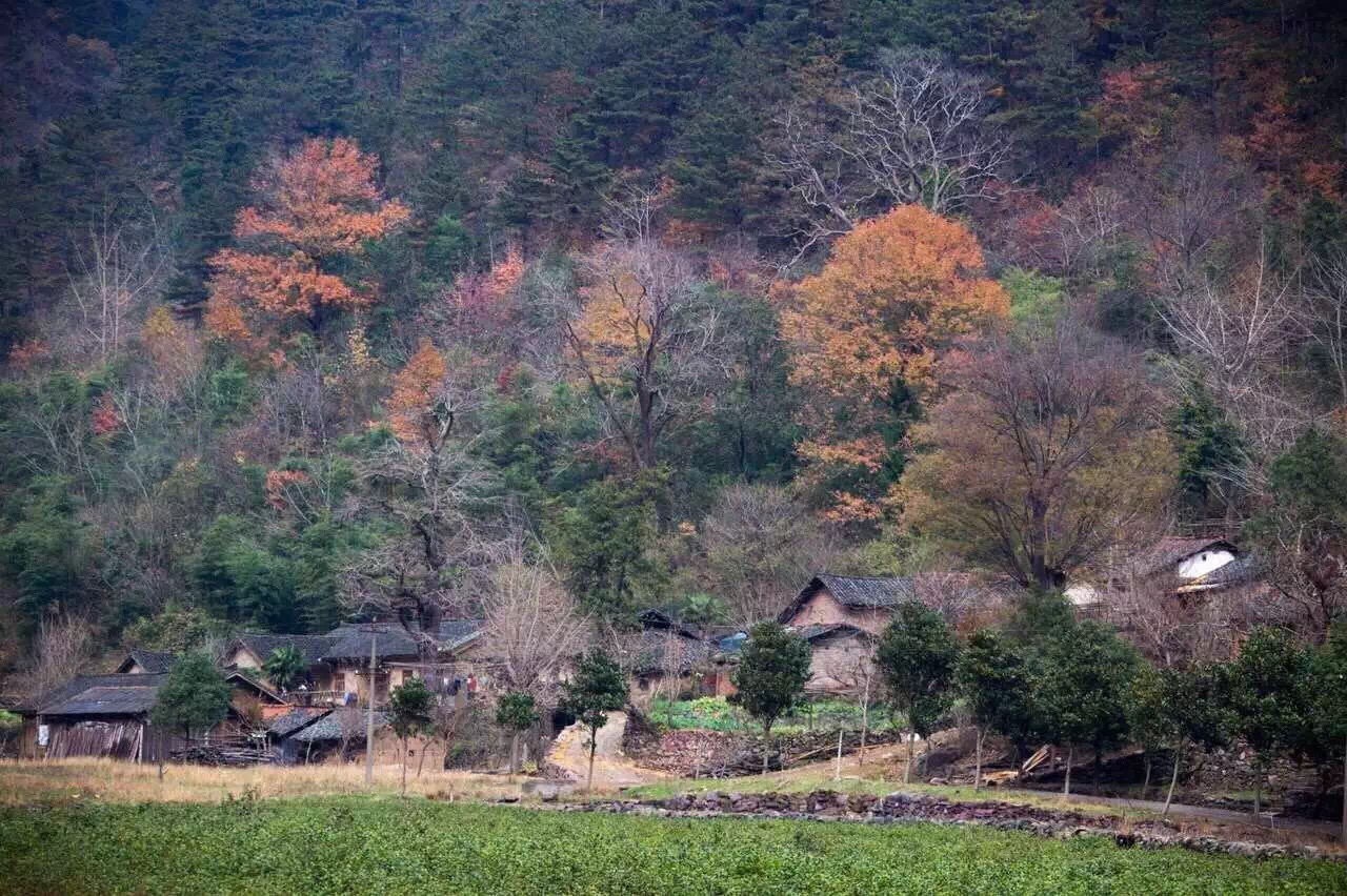 钟祥有多少人口_一个钟祥姑娘的自述 钟祥,我想回家 嫁到外地我后悔了(3)