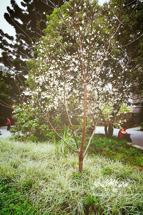 北投温泉,台北旅游攻略