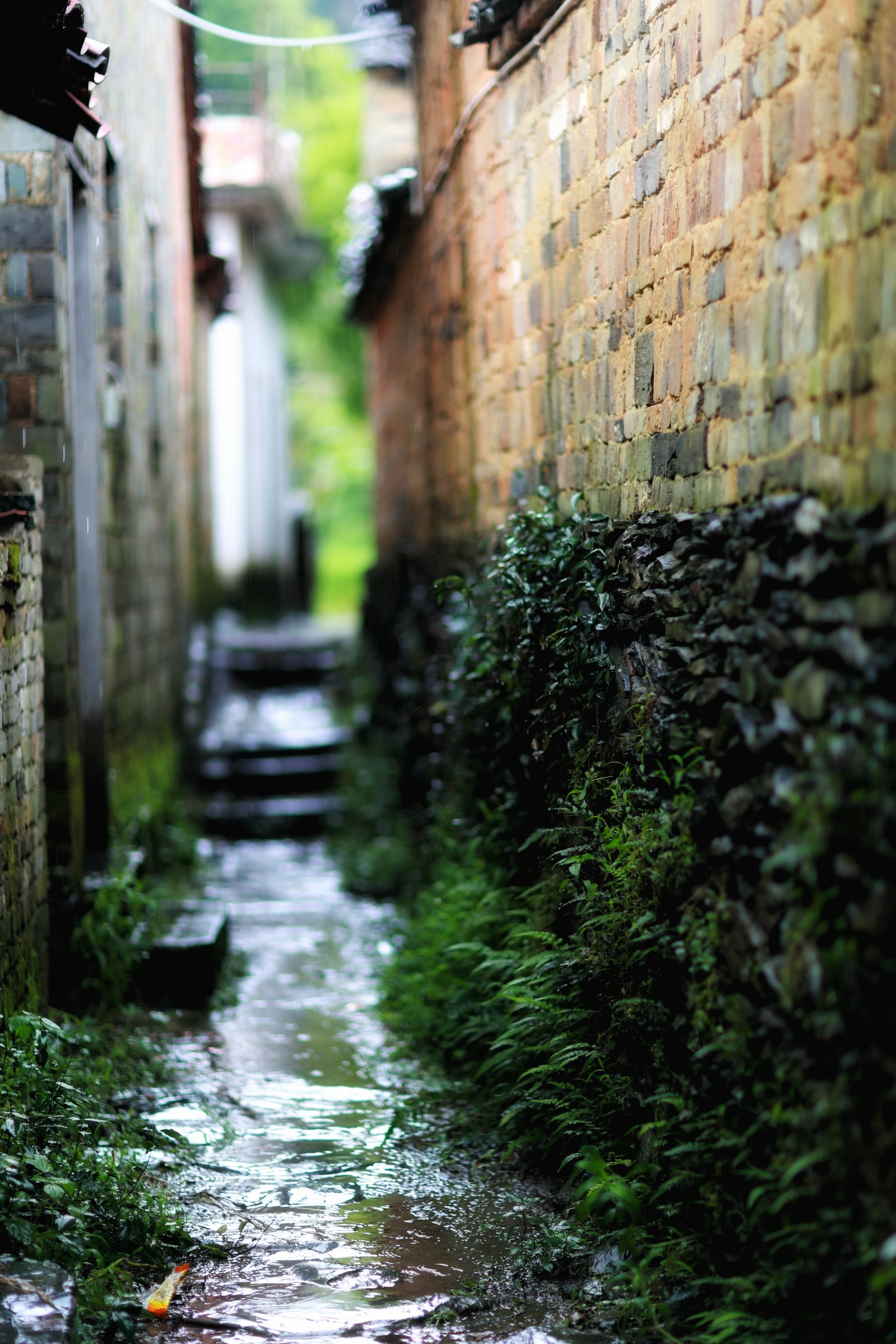 山重水路疑无路柳暗花明又一村猜成语
