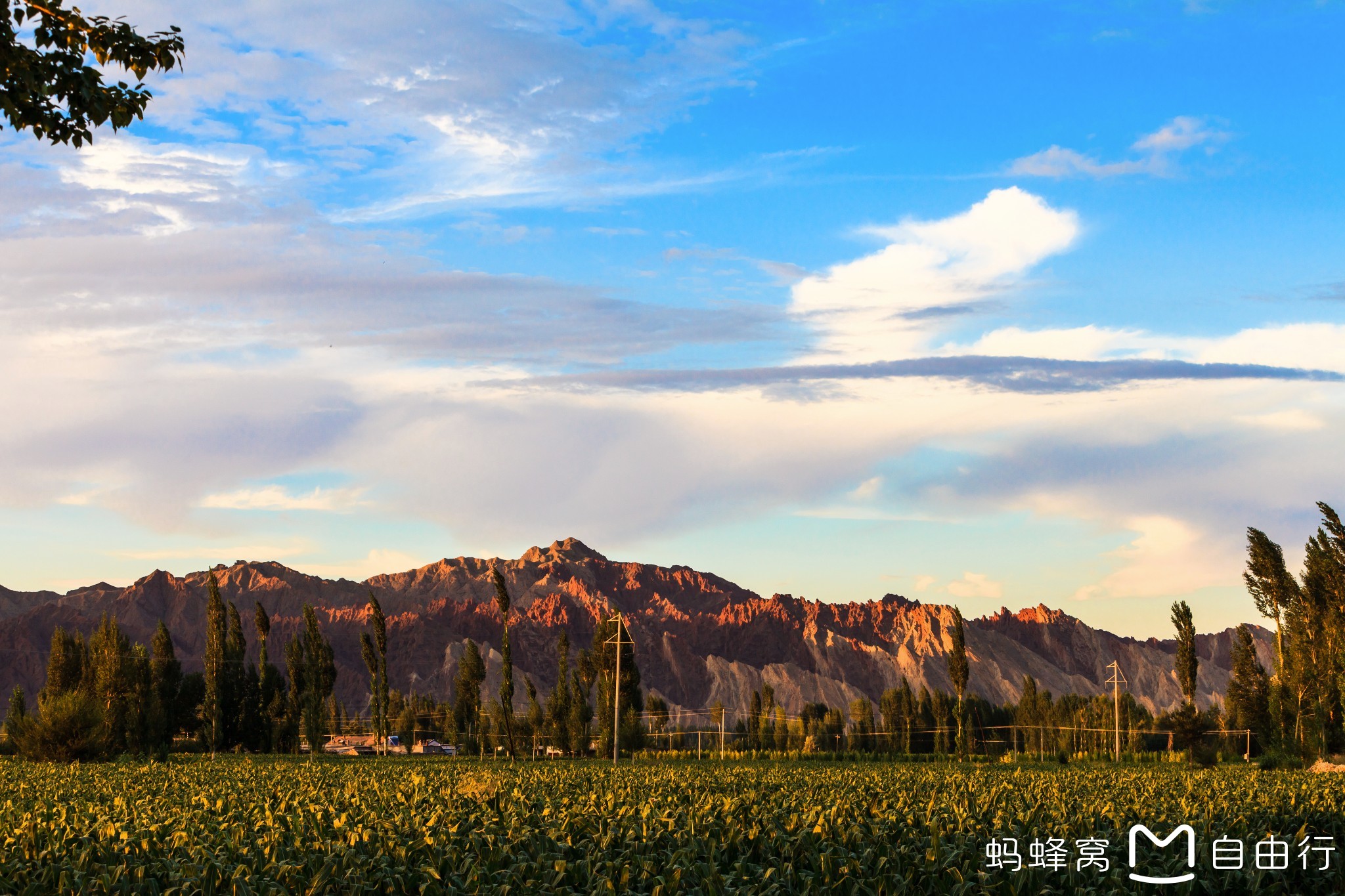 张掖市有多少人口_张掖市的区县有哪些(3)