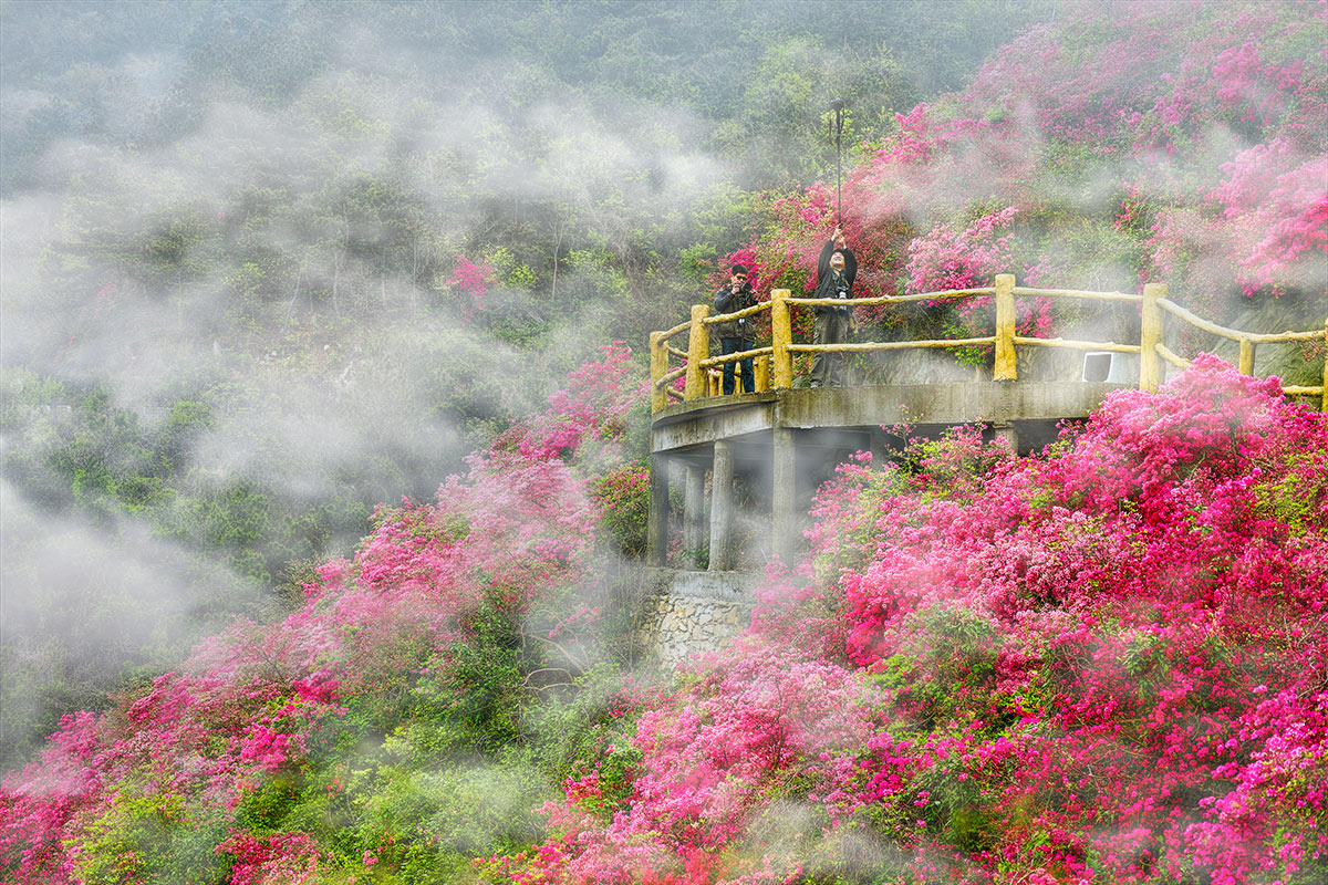 黄陂云雾山门票(电子票)