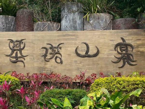 植物王国游玩攻略,植物王国游玩攻略大全