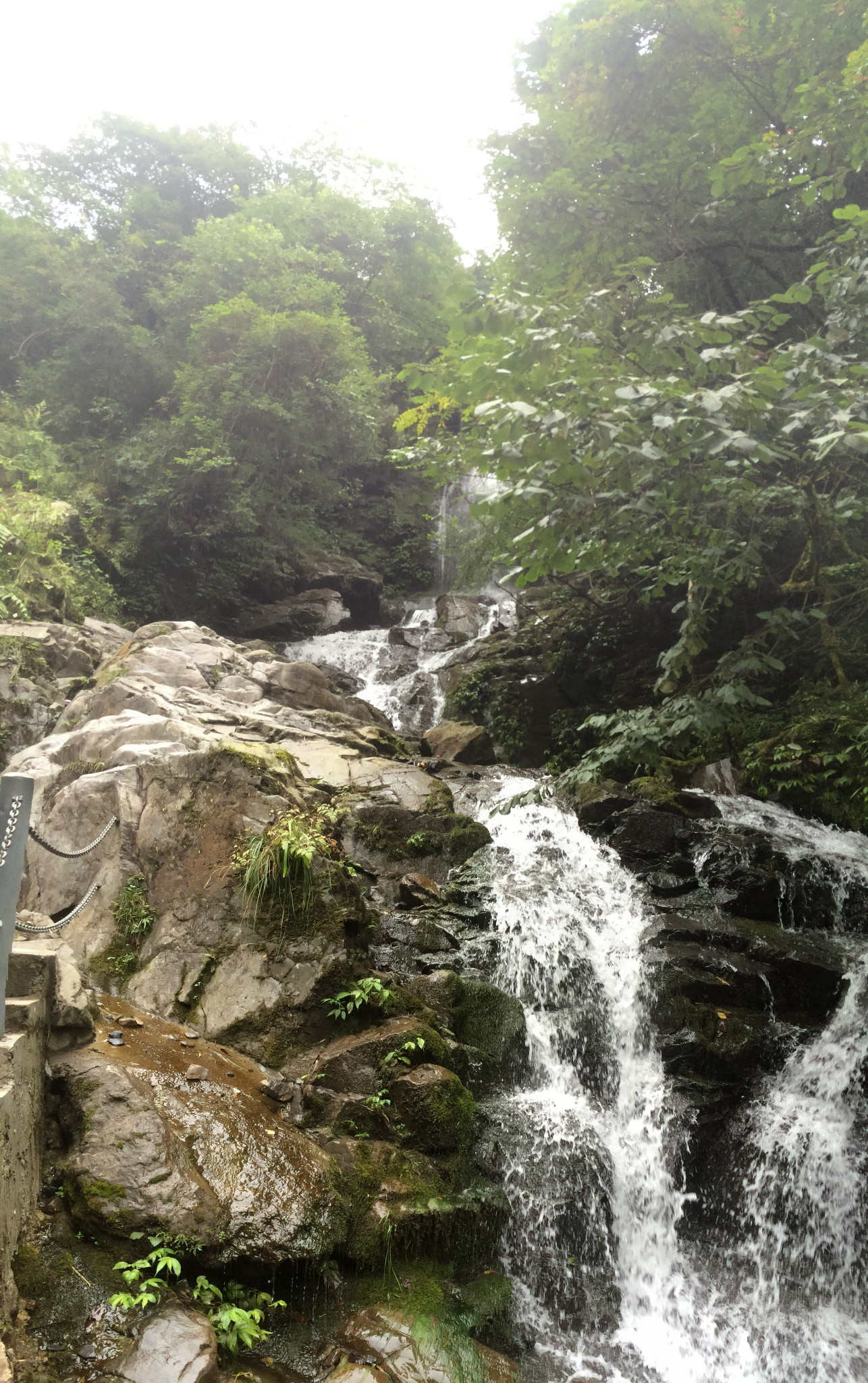 银厂沟卧龙谷——周末洗肺好去处,成都旅游攻略 - 马