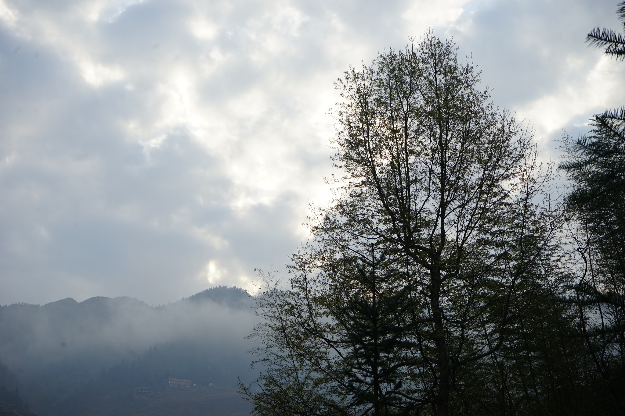 wKgBs1cA4MGAL2jjAAwrT7tWPQ088.jpeg?imageView2%2F2%2Fw%2F600%2Fh%2F600%2Fq%2F90