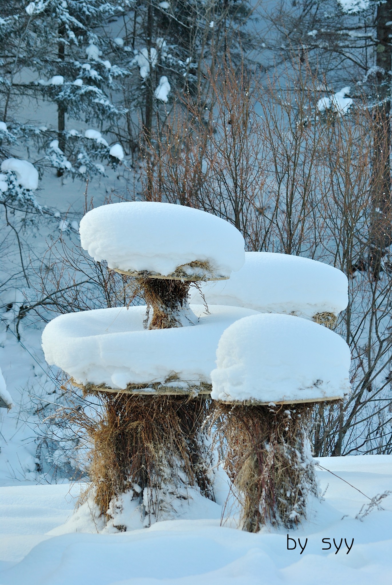 你在南方的艳阳里大雪纷飞 我在北方的寒夜里四季如春