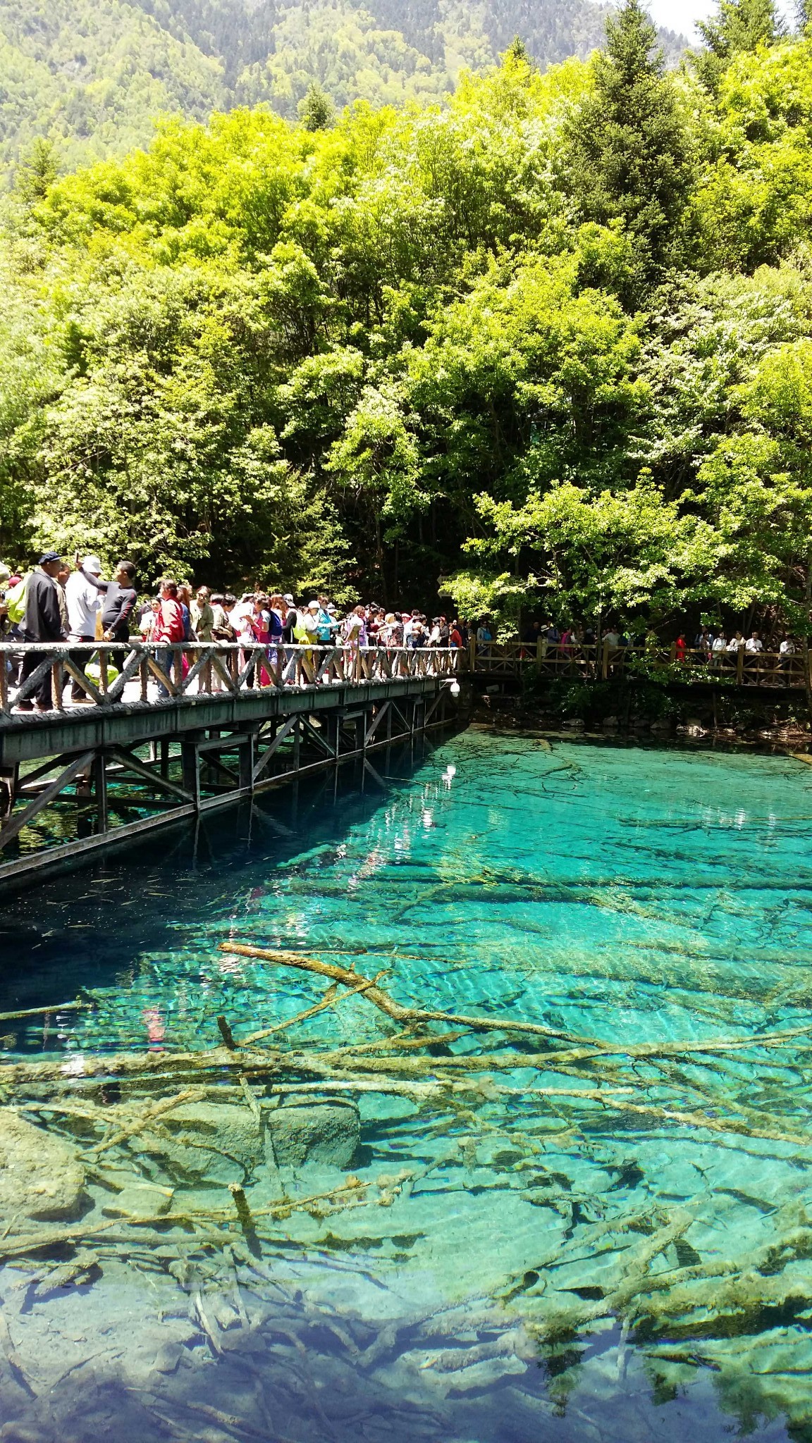 九寨沟旅游攻略(九寨沟旅游包车四日游)