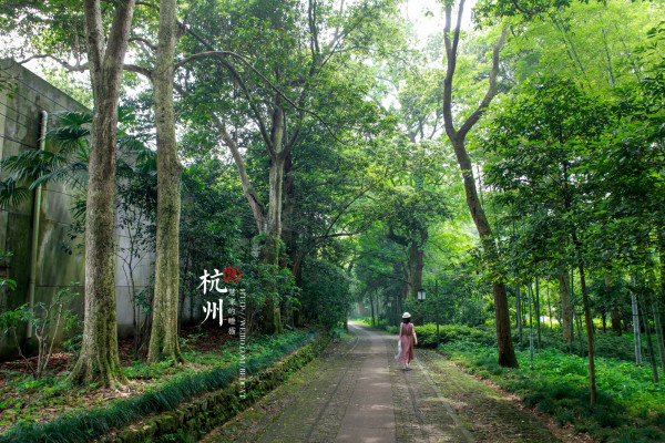 云栖山庄游玩攻略,云栖山庄游玩攻略大全