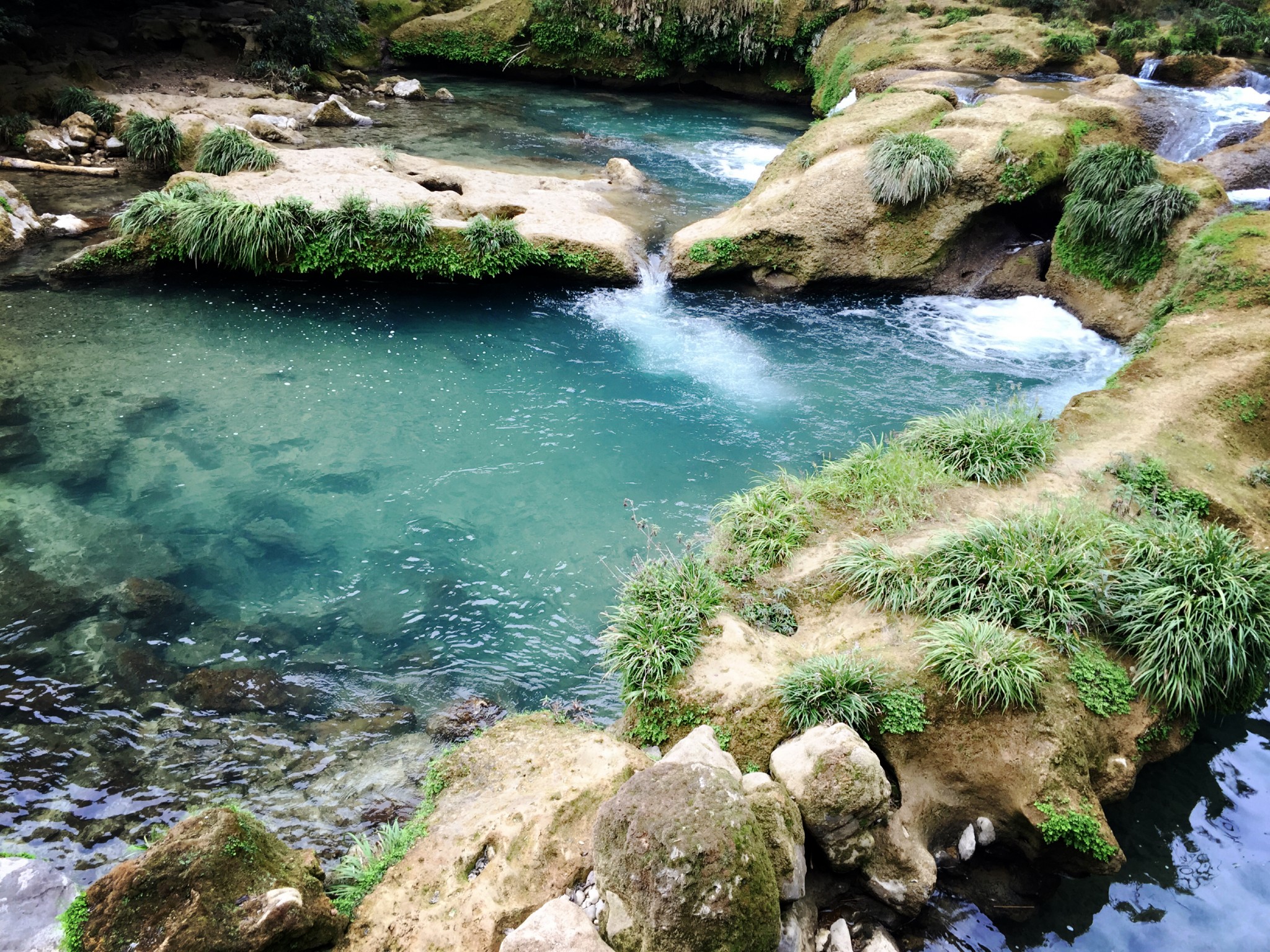 兴义都匀凯里gdp_都匀毛尖图片