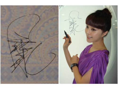 呵呵,喜琳可是有备而来,赵薇,李冰冰,范冰冰,刘亦菲,黄晓明的签名一网